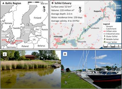 Ecosystem Service Assessments in Water Policy Implementation: An Analysis in Urban and Rural Estuaries